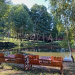 Продаж будинку 1039м², 80 соток, Гостомель | 5