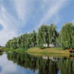 Продаж земельної ділянки, 22.5 соток, Нові Безрадичі | 1
