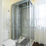 Оренда будинку 250м², 7 соток, Київ | 19