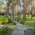 Продаж будинку 700м², 91 соток, Козин | 16