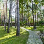 Продаж будинку 700м², 91 соток, Козин | 13