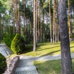 Продаж будинку 700м², 91 соток, Козин | 3