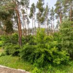 Продаж будинку 650м², 10 соток, Київ | 2
