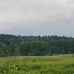 Продаж земельної ділянки, 300 соток, Новосілки | 2