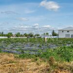 Продаж комерційної нерухомості по вул. Жовтнева, 1500 м² | 22
