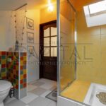 Продаж будинку 285м², 15 соток, Великі Дмитровичі | 17