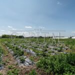 Продаж комерційної нерухомості по вул. Жовтнева, 1500 м² | 23