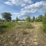 Продаж земельної ділянки, 25 соток, Козин | 3