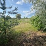 Продаж земельної ділянки, 25 соток, Козин | 2