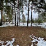 Продаж будинку 550м², 20.44 соток, Лебедівка | 10