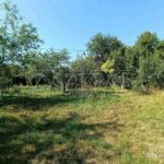 Оренда будинку 350м², 80 соток, Рославичі | 6