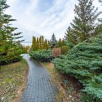 Оренда будинку 892м², 100 соток, Козин | 17