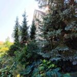 Оренда будинку 350м², 80 соток, Рославичі | 11