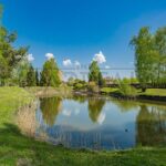 Продаж будинку 380м², 63 соток, Вишеньки | 4
