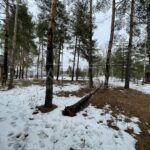 Продаж будинку 550м², 20.44 соток, Лебедівка | 19