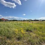 Продаж земельної ділянки, 22 соток, Козин | 1