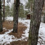 Продаж будинку 550м², 20.44 соток, Лебедівка | 21