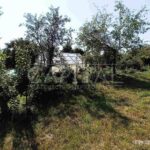 Оренда будинку 350м², 80 соток, Рославичі | 7