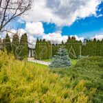 Оренда будинку 1500м², Гора | 11