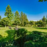 Продаж будинку 941м², 42 соток, Козин | 18