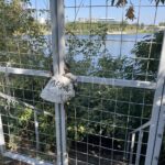 Продаж земельної ділянки, 126 соток, Київ | 8