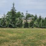 Продаж земельної ділянки, 45 соток, Горенка | 9