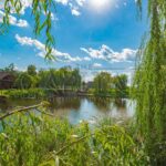 Продаж будинку 300м², 18 соток, Нові Безрадичі | 20