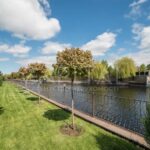 Продаж земельної ділянки, 35 соток, Козин | 1
