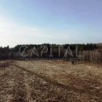 Продаж земельної ділянки, 800 соток, Рожни | 2