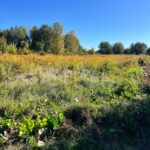 Продаж земельної ділянки, 26.5 соток, Ходосівка | 3