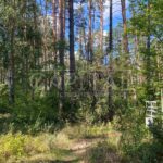 Продаж земельної ділянки, 10 соток, Лебедівка | 7