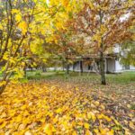 Продаж будинку 550м², 25 соток, Дмитрівка | 10
