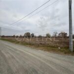 Продаж земельної ділянки, 7 соток, Осещина | 5