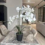 Оренда будинку 125м², 2 соток, Київ | 2