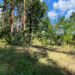 Продаж земельної ділянки, 10 соток, Лебедівка | 2