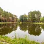 Продаж будинку 260м², 10 соток, Кийлів | 24
