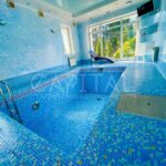 Оренда будинку 420м², 25 соток, Плюти | 25