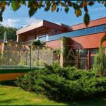 Оренда будинку 1200м², 300 соток, Нові Безрадичі | 3