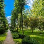Продаж будинку 1200м², 65 соток, Іванковичі | 10