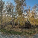 Продаж земельної ділянки, 52 соток, Нещерів | 2