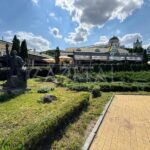 Оренда комерційної нерухомості по вул. Сагайдачного Петра, 230 м² | 7