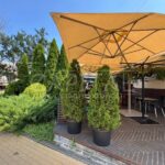 Оренда комерційної нерухомості по вул. Сагайдачного Петра, 230 м² | 6