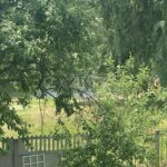 Оренда будинку 60м², 13 соток, Бровари | 20
