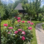 Оренда будинку 60м², 13 соток, Бровари | 18
