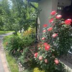 Оренда будинку 60м², 13 соток, Бровари | 7