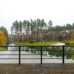 Оренда будинку 180м², 6 соток, Стоянка | 4