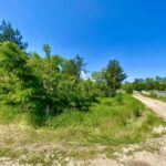 Продаж земельної ділянки, 246 соток, Новосілки | 6