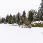 Оренда будинку 550м², 50 соток, Козин | 6