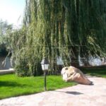 Продаж будинку 1130м², 43.5 соток, Козин | 4