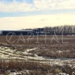 Продаж земельної ділянки, 252 соток, Гореничі | 2